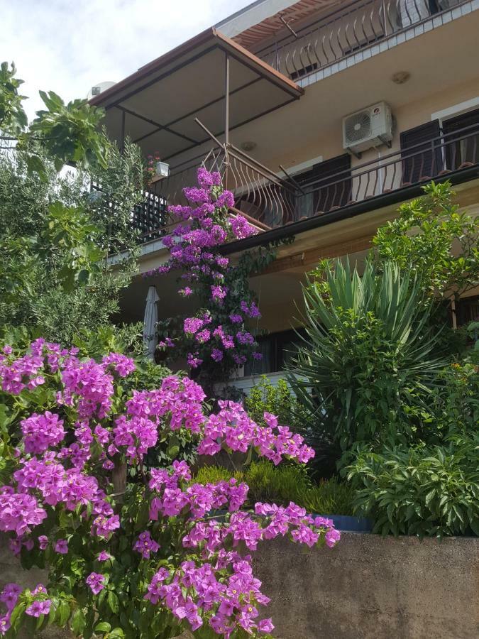 Apartment Dokic تْسْغيكفانِتْسا المظهر الخارجي الصورة